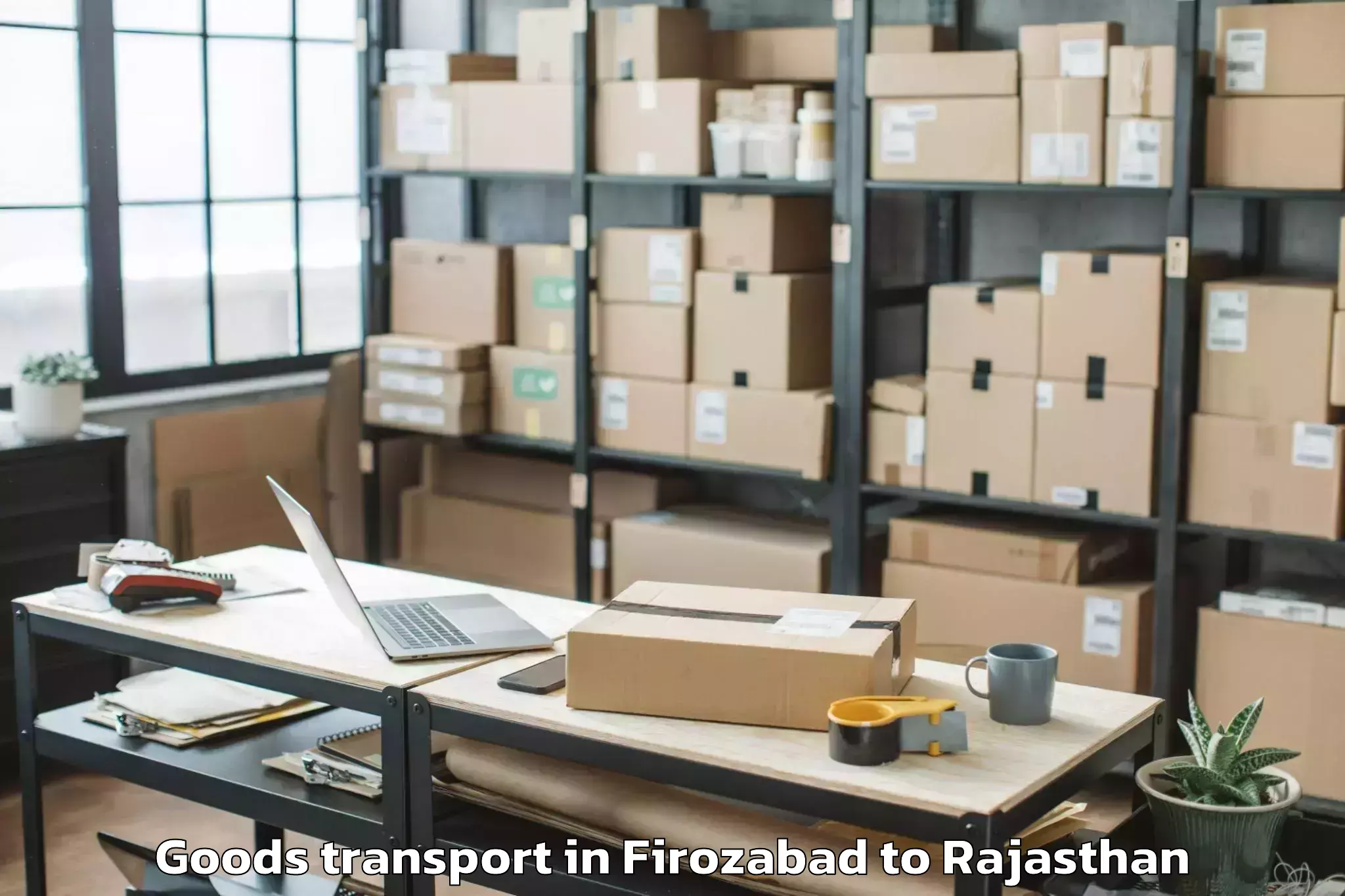 Expert Firozabad to Rajasthan University Of Health Goods Transport